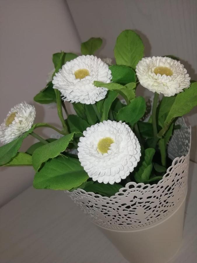 Suite Roma تْشيفالو المظهر الخارجي الصورة